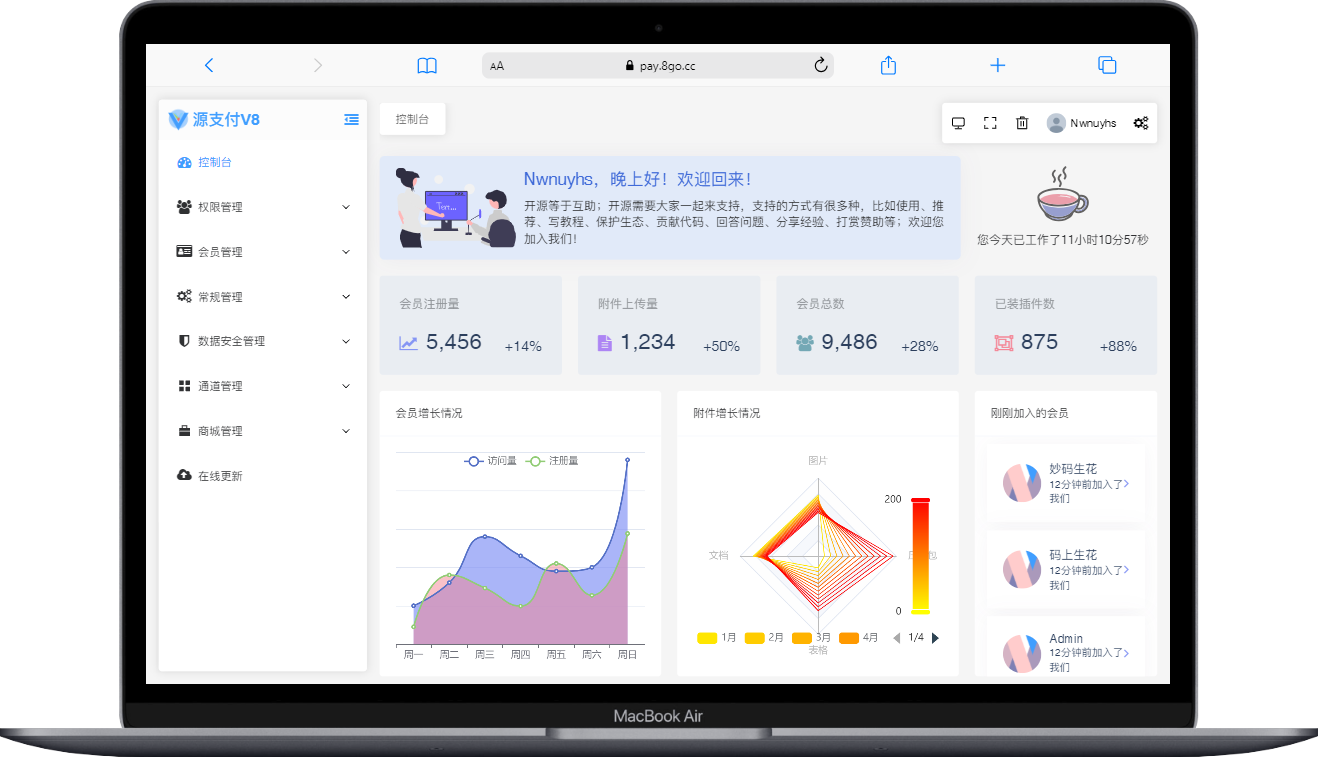 Ypay Pro:安全稳定的聚合免签支付系统V1.7.3
